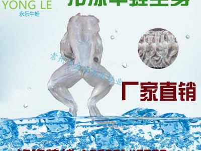冷冻速冻牛蛙肉速冻水产无冰衣新鲜大量批发永乐牛蛙厂家加工直供图1