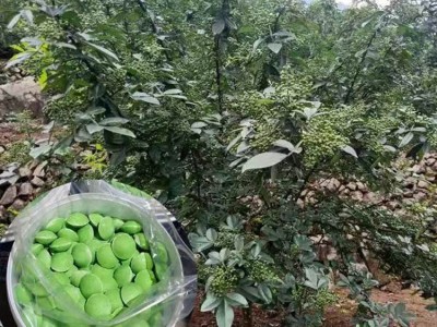 大颗粒桑树桉树肥料长效高效石榴果树氮磷钾大力丸复合肥厂家批发图3