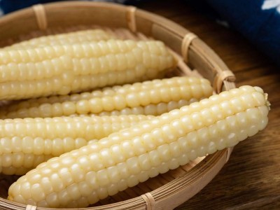云南新鲜拇指玉米即食批发西双版纳软糯拇指玉米真空包装一件代发图2