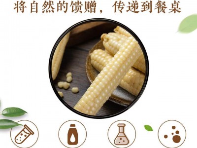 云南新鲜拇指玉米即食批发西双版纳软糯拇指玉米真空包装一件代发图5