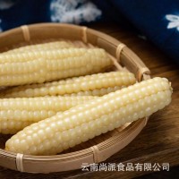 云南新鲜拇指玉米即食批发西双版纳软糯拇指玉米真空包装一件代发