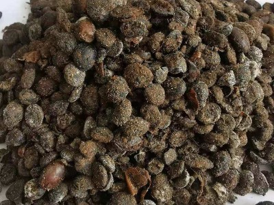 发酵大豆有机肥 熟化大豆农用土壤改良有机肥 腐熟发酵大豆图4