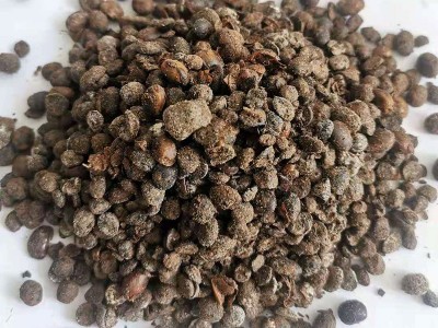 发酵大豆有机肥 熟化大豆农用土壤改良有机肥 腐熟发酵大豆图3