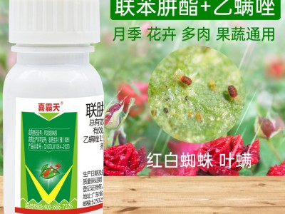 联苯肼酯乙螨唑杀虫剂红蜘蛛杀卵杀螨月季花卉多肉植物杀螨剂20g图3
