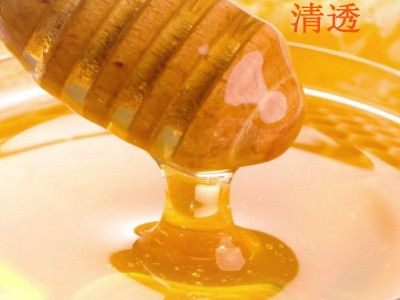 皇宫玻璃瓶蜂蜜500g百花蜜农家多花洋槐枣花蜂蜜冲饮品蜂蜜批发图4