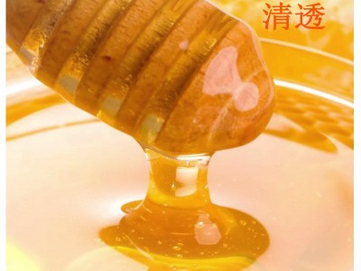 皇宫1000g土蜂蜜批发瓶装百花蜜洋槐枣花蜜椴树蜂蜜图3