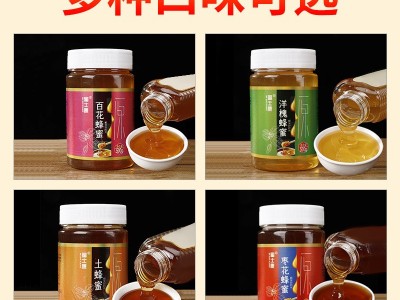 500g瓶装农家自产土蜂蜜百花蜜洋槐枣花年会礼品伴手礼纯蜂蜜批发图2