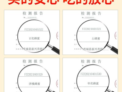 500g瓶装农家自产土蜂蜜百花蜜洋槐枣花年会礼品伴手礼纯蜂蜜批发图3