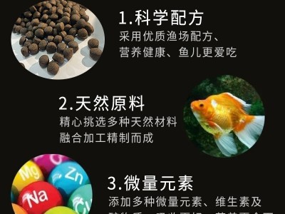 群丰牌黑鱼饲料 浮水颗粒乌鱼饲料 淡水渔场养殖生鱼多蛋白饲料图2