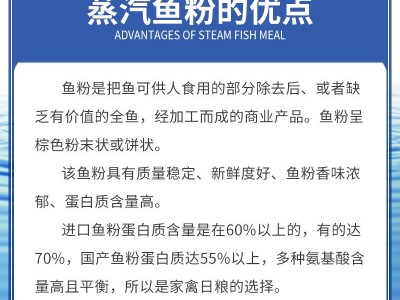 厂家批发国产蒸汽鱼粉蛋白鱼粉 黑鱼鱼粉 龙虾鸡鸭猪蟹脱脂鱼粉图4