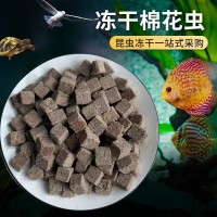 厂家批发巴西龟龟粮 观赏鱼饲料冻干棉花虫 金丝熊小仓鼠粮零食