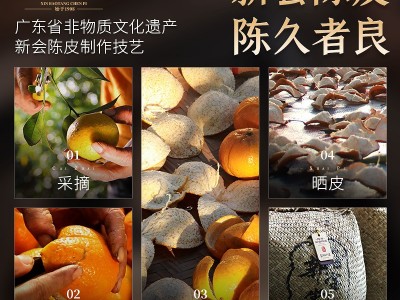 新宝堂新会陈皮二十年陈皮罐装50克地道新会陈皮干老陈皮批发图3