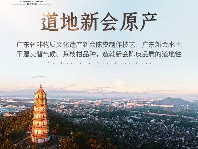 新宝堂新会陈皮二十年陈皮罐装50克地道新会陈皮干老陈皮批发图2
