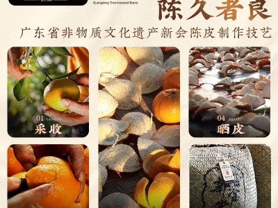 新宝堂新会陈皮十年老陈皮10年广东特产新会陈皮干50克批发图3