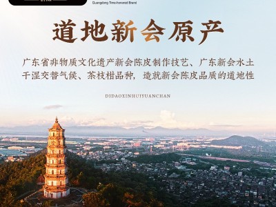 新宝堂新会陈皮十年老陈皮10年广东特产新会陈皮干50克批发图4