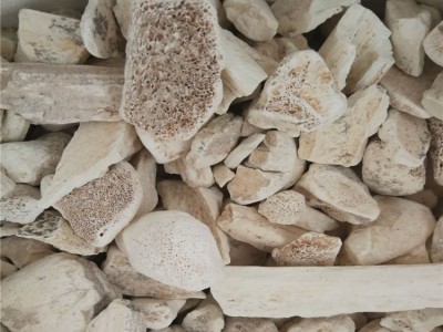 龙骨 矿物原药材 白龙骨 生龙骨 散装各种规格 中药材批发图2