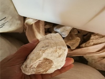 龙骨 矿物原药材 白龙骨 生龙骨 散装各种规格 中药材批发图3