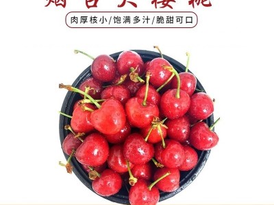 现摘山东大樱桃5斤烟台红灯当季孕妇新鲜水果车厘子整箱3斤装包邮图1