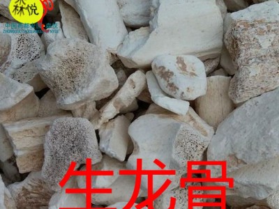 生龙骨 批发冷背中药材 煅龙骨 段龙骨 龙骨 专药用 正品 保含量图2