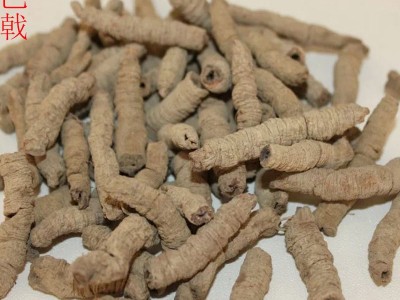 批发中药材 巴戟天 巴戟肉 巴戟天泡酒料 制巴戟天 炙巴戟图5