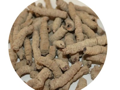 批发中药材 巴戟天 巴戟肉 巴戟天泡酒料 制巴戟天 炙巴戟图4