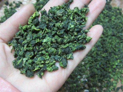 茶叶铁观音安溪铁观音 高山乌龙茶 批发散装铁观音茶叶产地货源图4