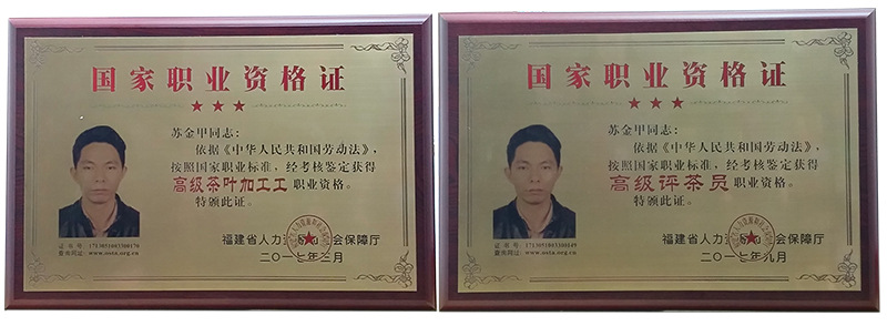 证牌