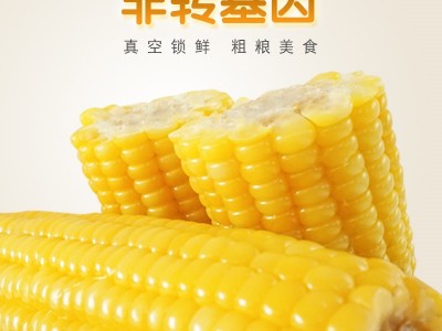 冰国糯玉米真空黄玉米10根东北原产地代餐粗粮食品一件代 发农产品图3