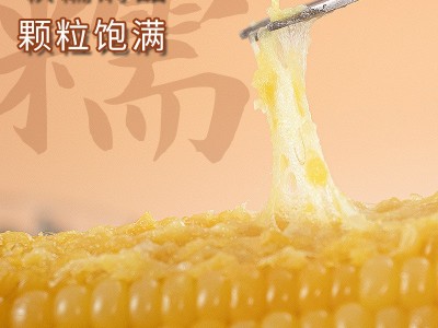 有机玉米冰国糯玉米真空黄白组合8根 黑龙江农产品代餐粗粮食品图2