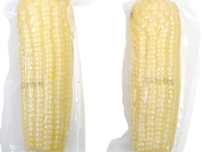 厂家直发东北玉米2100g粗粮代餐糯玉米整箱白玉米棒真空独立包装图5