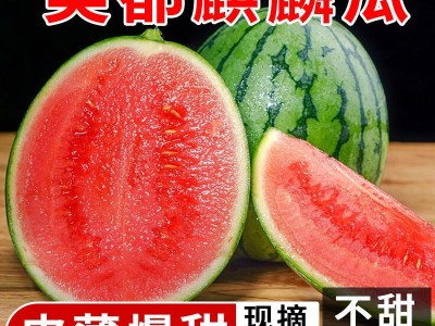 新鲜正宗冰糖麒麟瓜美都西瓜甜美多汁水果皮薄无籽有籽现摘现发图2