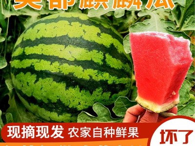 新鲜正宗冰糖麒麟瓜美都西瓜甜美多汁水果皮薄无籽有籽现摘现发图3