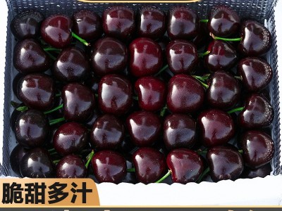 现货樱桃新鲜水果包邮5斤装车厘子美早大樱桃山东当季整箱3j孕妇4图1