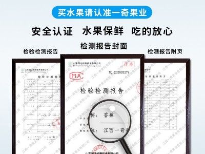 广西小米香蕉 代发5/9斤新鲜水果海南软糯小香蕉给红美人苹果粉蕉图3