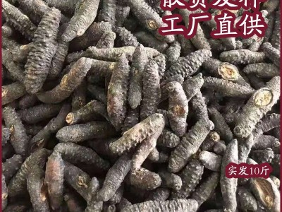 土耳其米刺干参年货特产食品鲜食海参佛跳墙批发零食礼盒一件代发图4