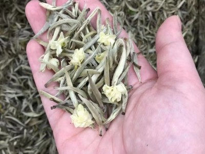 广西横县浓香型 产地厂家散装批发茶叶春茶新茶茉莉茶王茉莉花茶图2