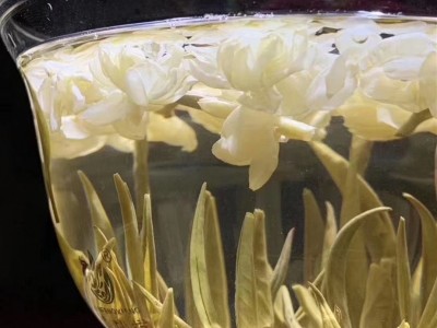 广西横县浓香型 产地厂家散装批发茶叶春茶新茶茉莉茶王茉莉花茶图4
