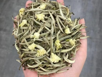 广西横县浓香型 产地厂家散装批发茶叶春茶新茶茉莉茶王茉莉花茶图1