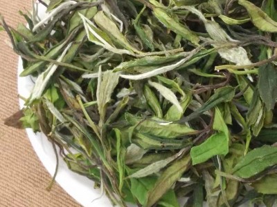 2021年小菜茶福鼎 小白茶土茶 明前牡丹贡眉香甜顺口图3