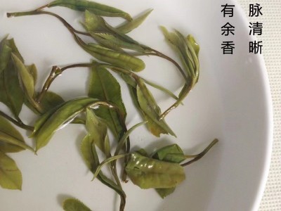 2021年小菜茶福鼎 小白茶土茶 明前牡丹贡眉香甜顺口图5