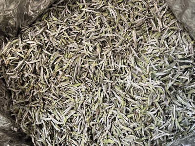 2022年抛荒银针首采白毫银针花香馥郁鲜爽高山日晒白茶明前茶叶散图5