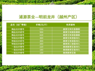 龙井茶2022新茶明前龙井春茶绿茶茶叶500g散装龙井茶厂家批发龙井图3