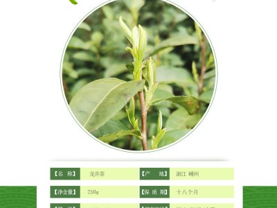 龙井茶叶批发2022新茶龙井茶袋装绿茶250g厂家批发越乡浙江龙井茶图4
