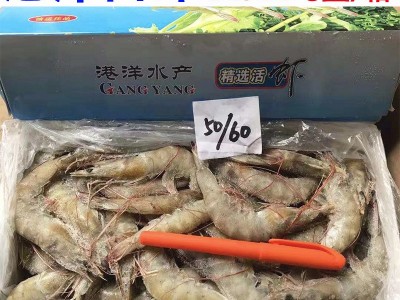 国产广东湛江基围虾港洋新鲜大虾鲜活白虾水产餐饮火锅酒店食材图2