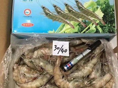 国产广东湛江基围虾港洋新鲜大虾鲜活白虾水产餐饮火锅酒店食材图1