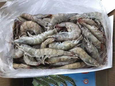 国产广东湛江基围虾港洋新鲜大虾鲜活白虾水产餐饮火锅酒店食材图5