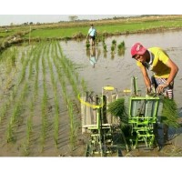水稻栽苗补苗机小型手动两行水稻人力手摇式插秧机水稻插秧机直供