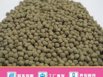 寸金锦鲤650g罐装锦鲤饲料不污水营养观赏鱼饲料 工厂图4