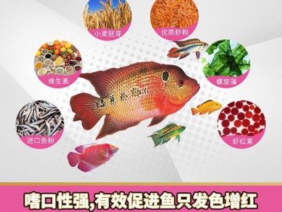 NO238寸金鱼粮红叶200克金鱼饲料锦鲤饲料增色饲料观赏鱼饲料鱼食图3