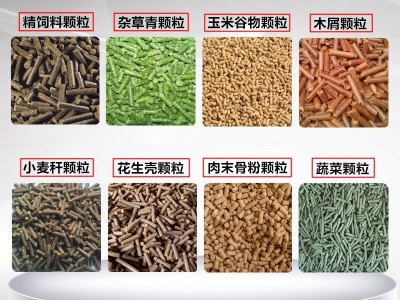 新型饲料颗粒机家用小型多功能220v牛羊猪鸡鸭养殖制粒饲料机设备图5